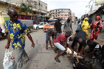 Eid al-Adha celebrations in Ivory Coast