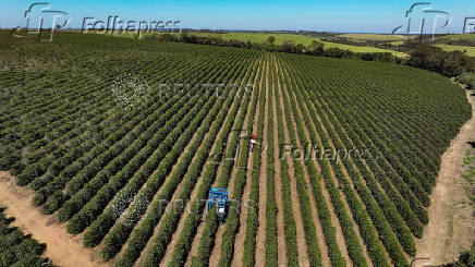 More Brazil coffee to China and indirect trades expected with Trump's 50% tariff
