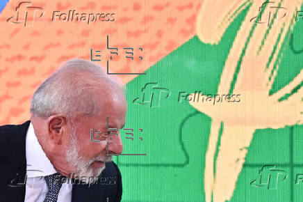 V reunión plenaria del Consejo para el Desarrollo Económico y Social Sostenible en Brasilia