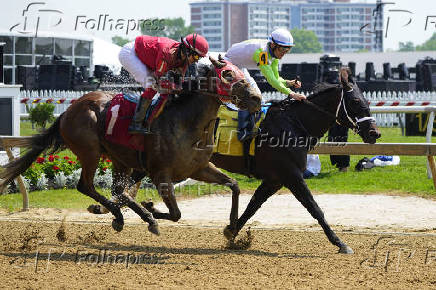 Horse Racing: Black-Eyed Susan