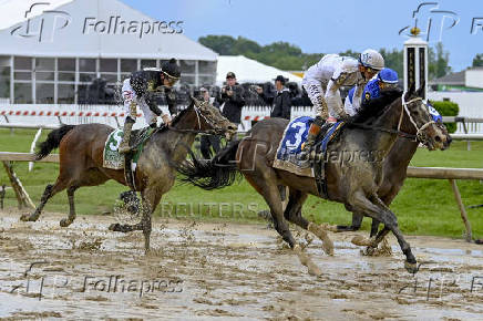 Horse Racing: Black-Eyed Susan
