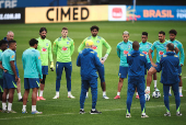 BRASIL, TREINO