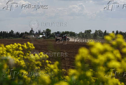 Farmers plant potatoes in a field outside Kolomna, Moscow region