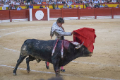 Corrida de Hogueras en Alicante