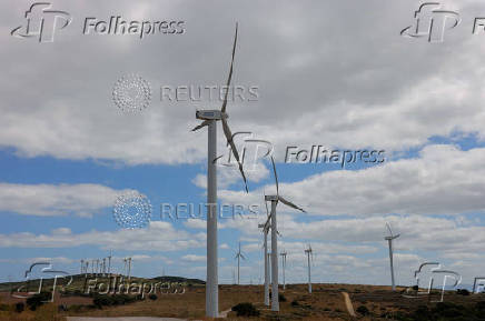 Wind turbines spin in a field, near Casares