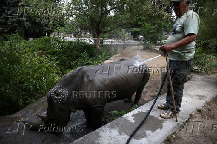 Animals are sprayed with water to cool down during a heatwave, at Sofia City Zoo