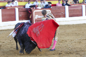 Corrida de toros mixta en Mérida