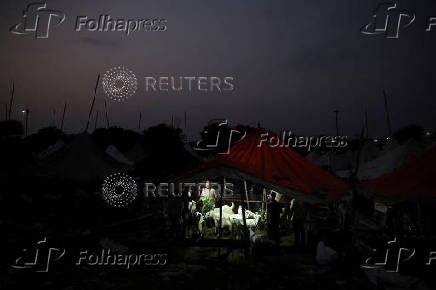 A vendor sits as others stand next to goats for sale as they wait for customers inside a livestock market ahead of the Eid al-Adha festival in the old quarters of Delhi
