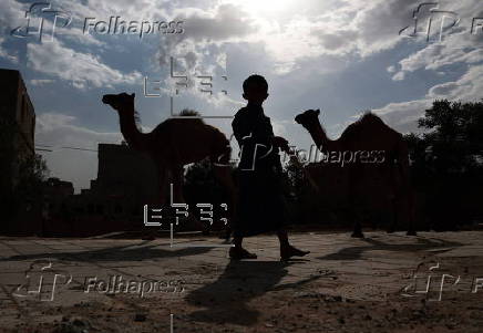 Climate change impacts herders in Yemen