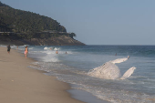 Filhote de baleia Jubarte morto, encalha na praia de São Conrado, no Rio de Janeiro