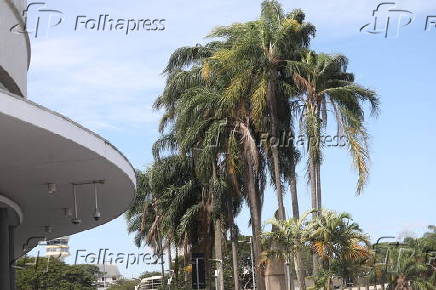 Rajadas de ventos na região do aeroporto de Congonhas em SP