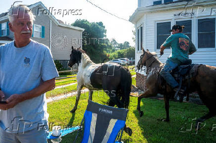 100th annual Chincoteague Pony Swim