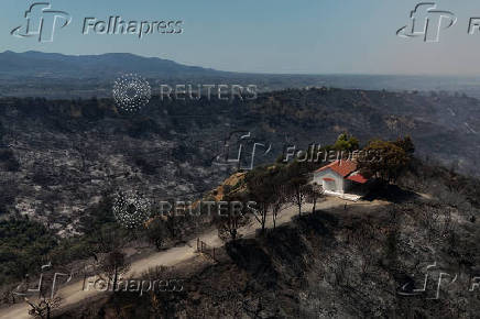 Wildfire burns houses, factories forcing evacuations near Patras