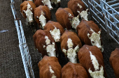 Where's the beef? Argentine steak exports slide as strong peso inflates costs