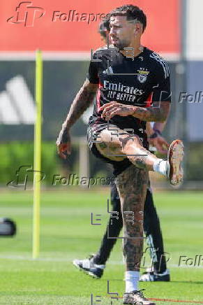 UEFA Champions League play-offs MD-1 - SL Benfica