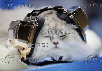 Pet Expo Thailand 2025 in Bangkok