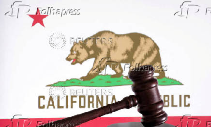 FILE PHOTO: Illustration shows flag of U.S. state California
