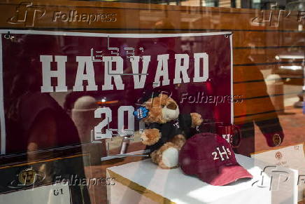 Harvard University Campus in Cambridge Massachusetts