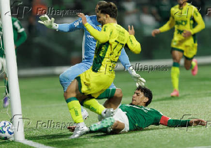 Campeonato Brasileiro Série A - Palmeiras e Mirassol