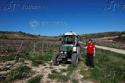 Wine grape grower Enrique Lopez de Alda at his field in Oyun