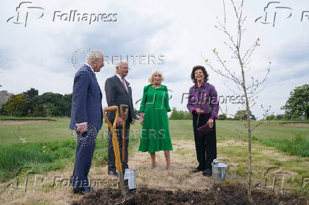 Britain's King Charles and Queen Camilla are joined by King Carl XVI Gustaf and Queen Silvia of Sweden, to plant a Swedish oak tree in the Home Park of Windsor Castle