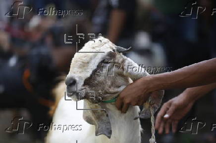 Eid al-Adha preparations in Aceh