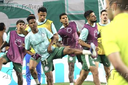 Inter miami fc vs palmeiras :fifa club world cup.