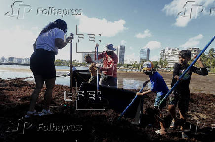 La limpieza del sargazo moviliza a voluntarios en Puerto Rico para salvar la vida marina
