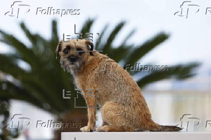 Directors of Short Films in Competition - Photocall - 78th Cannes Film Festival