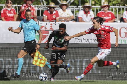 Portuguese Cup Final - Benfica vs Sporting