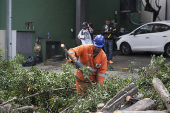 Queda de árvore no Jardim Paulista