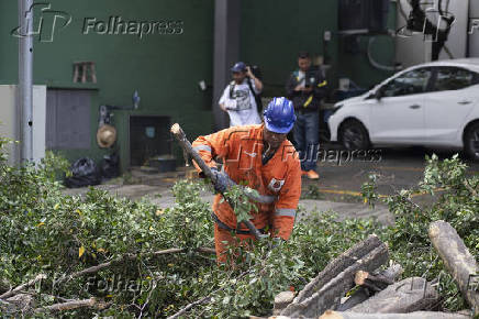 Queda de árvore no Jardim Paulista