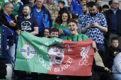 International Friendly - Northern Ireland v Iceland