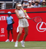 Queen's Club Championships tennis tournament in London