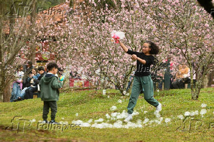 Inicio da Festa das Cerejeiras 2025 no Parque do Carmo