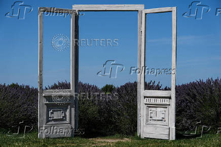 A solitary door stands in front of a lavender field in the summer season, in Nowy Pozog