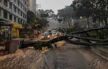 Chuva forte derruba árvore na avenida 9 de Julho