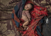 The Last Nomads of Nepal: A Vanishing Culture in the Forests of Surkhet