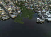 Cheia dos rios - Regiao do Rio Negro