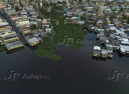 Cheia dos rios - Regiao do Rio Negro
