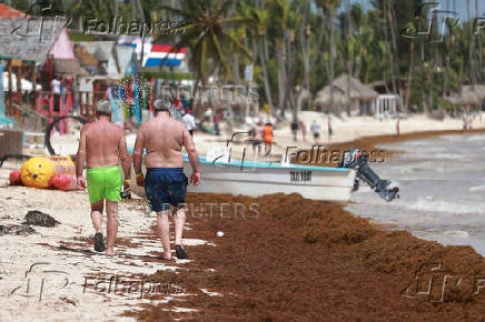 Sargassum seaweed blankets beaches in the Dominican Republic