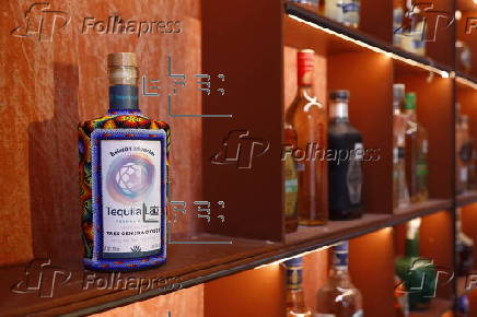 El estado mexicano de Jalisco impone Récord Guinness al reunir 3.199 botellas de tequila