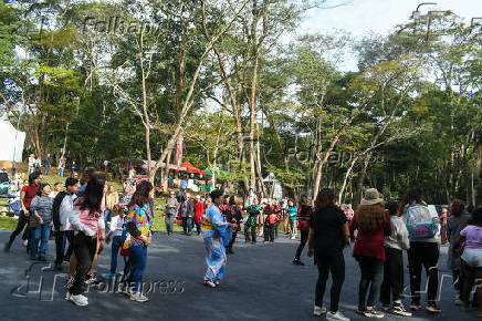 Festa das Cerejeiras no Parque do Carmo