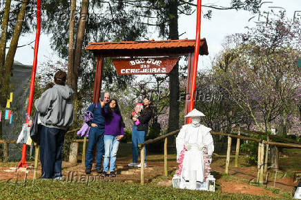 Festa das Cerejeiras no Parque do Carmo