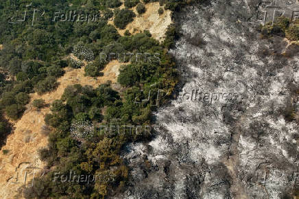 Wildfire burns houses, factories forcing evacuations near Patras