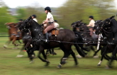 The King's Troop Royal Horse Artillery prepares for 80th anniversary of VE Day