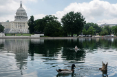 Daily Life in Washington D.C. as U.S. President Donald Trump Comteplates Military Action in Iran