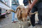 Syria prepares to celebrate Eid al-Adha