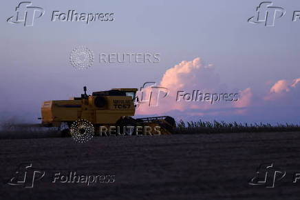 Soybean harvest in Rio Grande do Sul state, Brazil