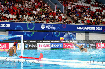 World Aquatics Championships